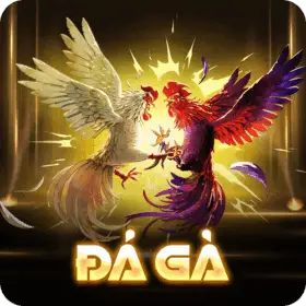 banner-da-ga-ml88