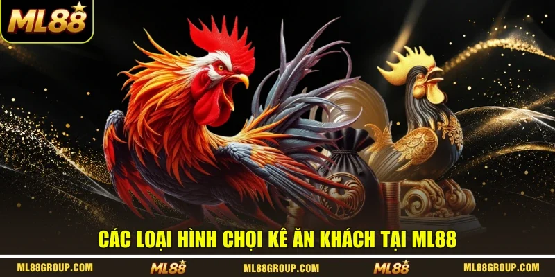 Các loại hình chọi kê ăn khách tại ML88
