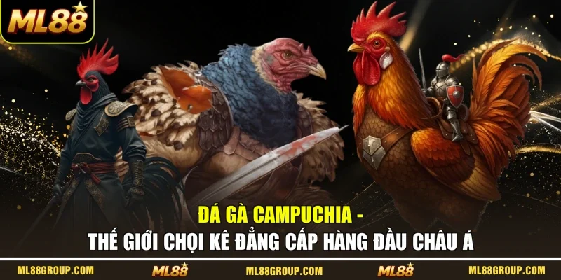 Đá Gà Campuchia - Thế Giới Chọi Kê Đẳng Cấp Hàng Đầu Châu Á