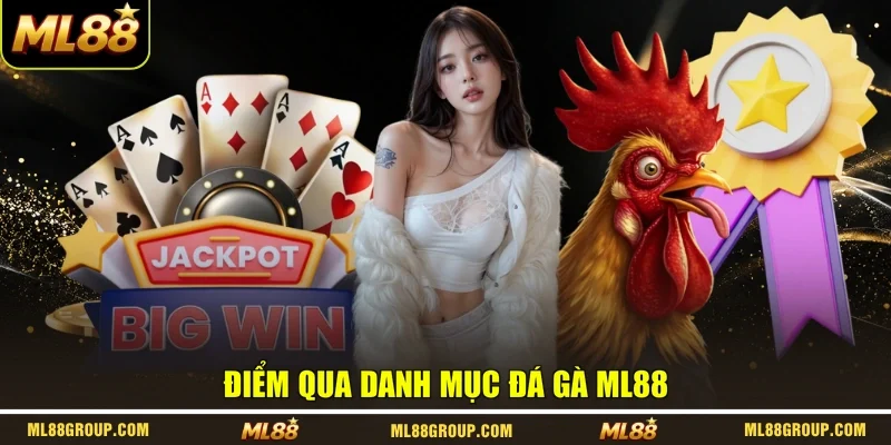 Điểm qua danh mục đá gà ML88