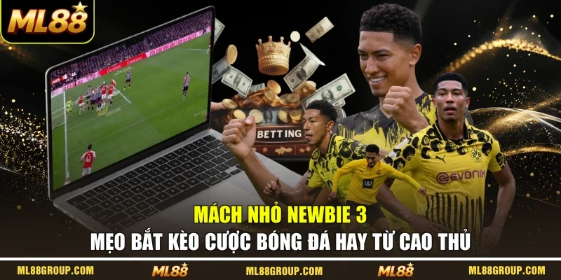 Mách nhỏ newbie 3 mẹo bắt kèo cược bóng đá hay từ cao thủ