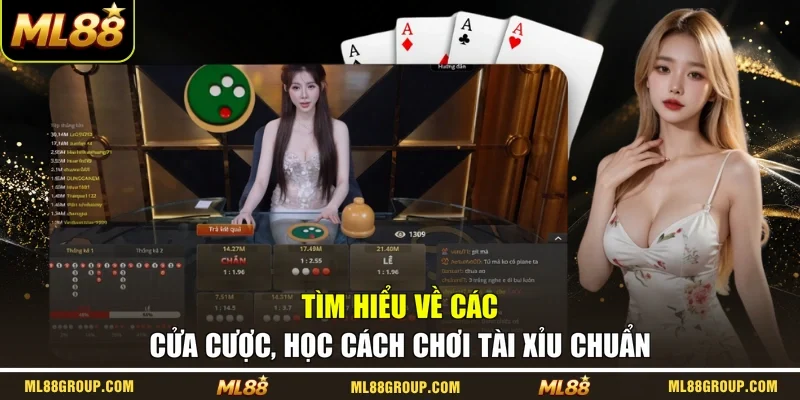 Tìm hiểu về các cửa cược, học cách chơi Tài Xỉu chuẩn